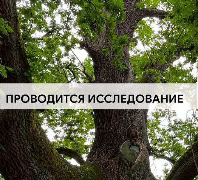 Ладушкин