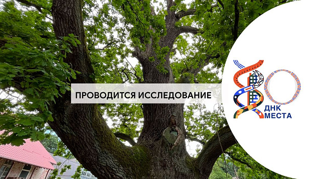 Ладушкин